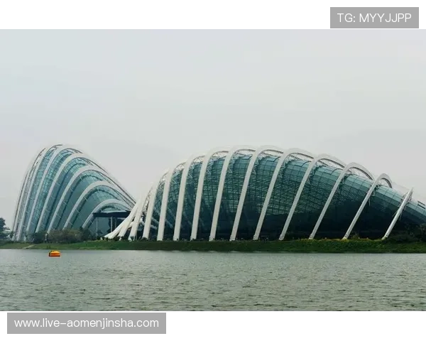 新加坡滨海湾金沙赌场的会员制度与积分奖励机制详解