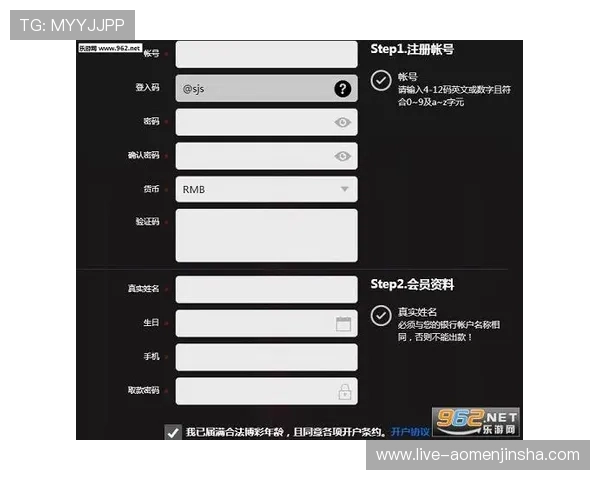 金沙澳门官方下载网址最新版本，确保玩家游戏安全与顺畅体验的最佳选择